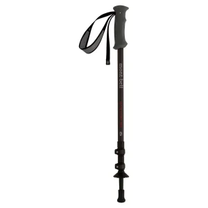 Alpine Carbon Pole Cam Lock S